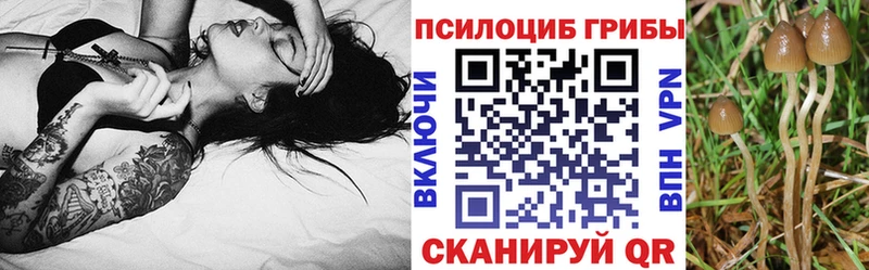 Галлюциногенные грибы мухоморы  Алушта 